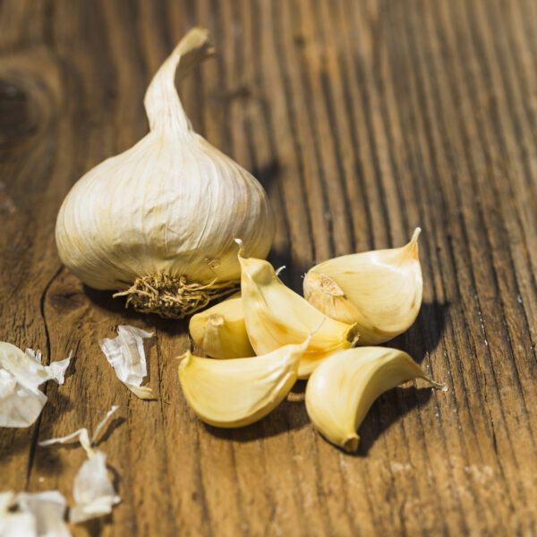 Garlic